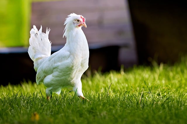 Job Near Me: Part‑Time Opportunities