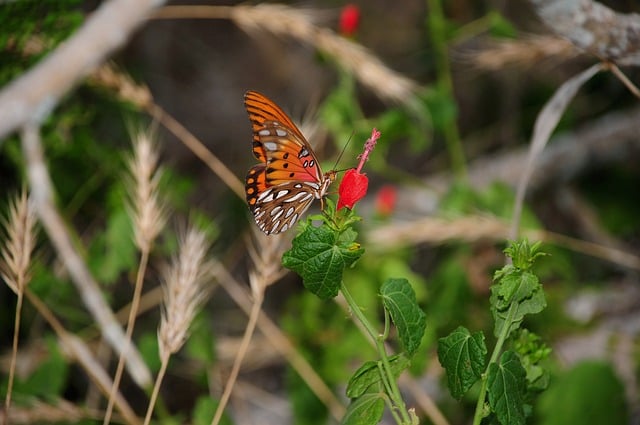 Analyzing the Work: 5th Harmony Lyrics and Their Meaning