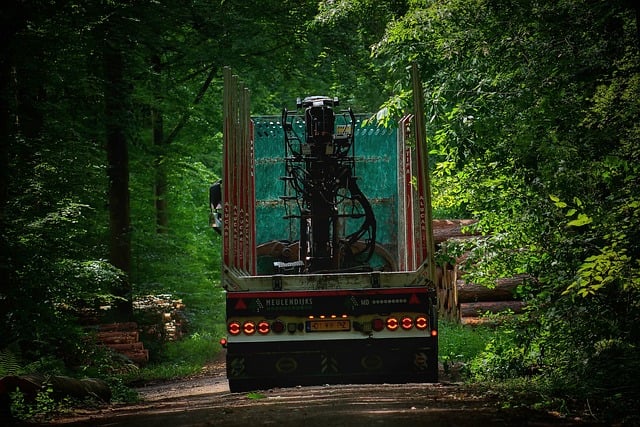 Work Trucks for Sale Near Me – Your Guide to Finding the Right Commercial Vehicle